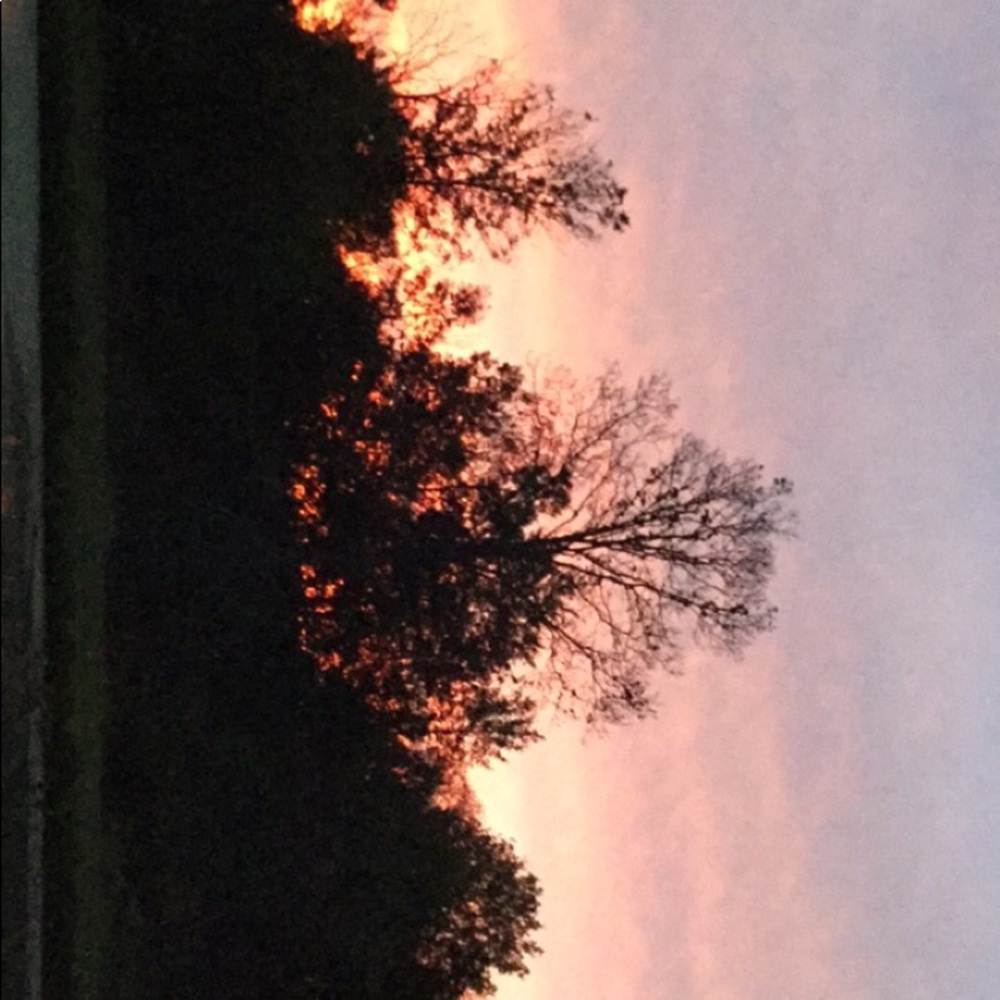 Meet your Posher, Hadley